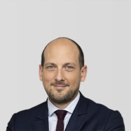 Nicolas Aynès