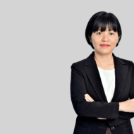 Pham Viet Anh