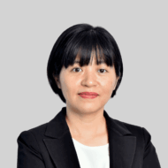 Pham Viet Anh