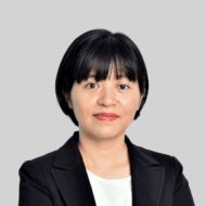 Pham​  Viet Anh