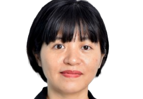 Pham​  Viet Anh