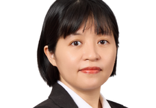 Pham​ Viet Anh