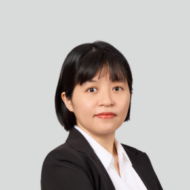 Pham​ Viet Anh