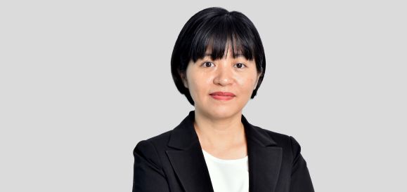 Pham Viet Anh - LPALAW Avocat Associate