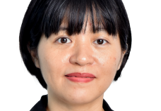 Pham​  Viet Anh