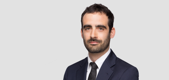 Lanier Fleischmann-Caruso - Lpalaw avocatAssociate
